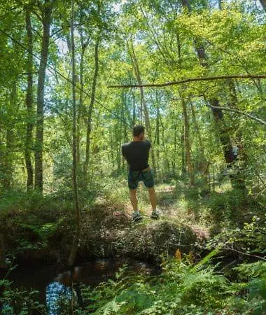 Bed & Breakfast La Palombiere 3*